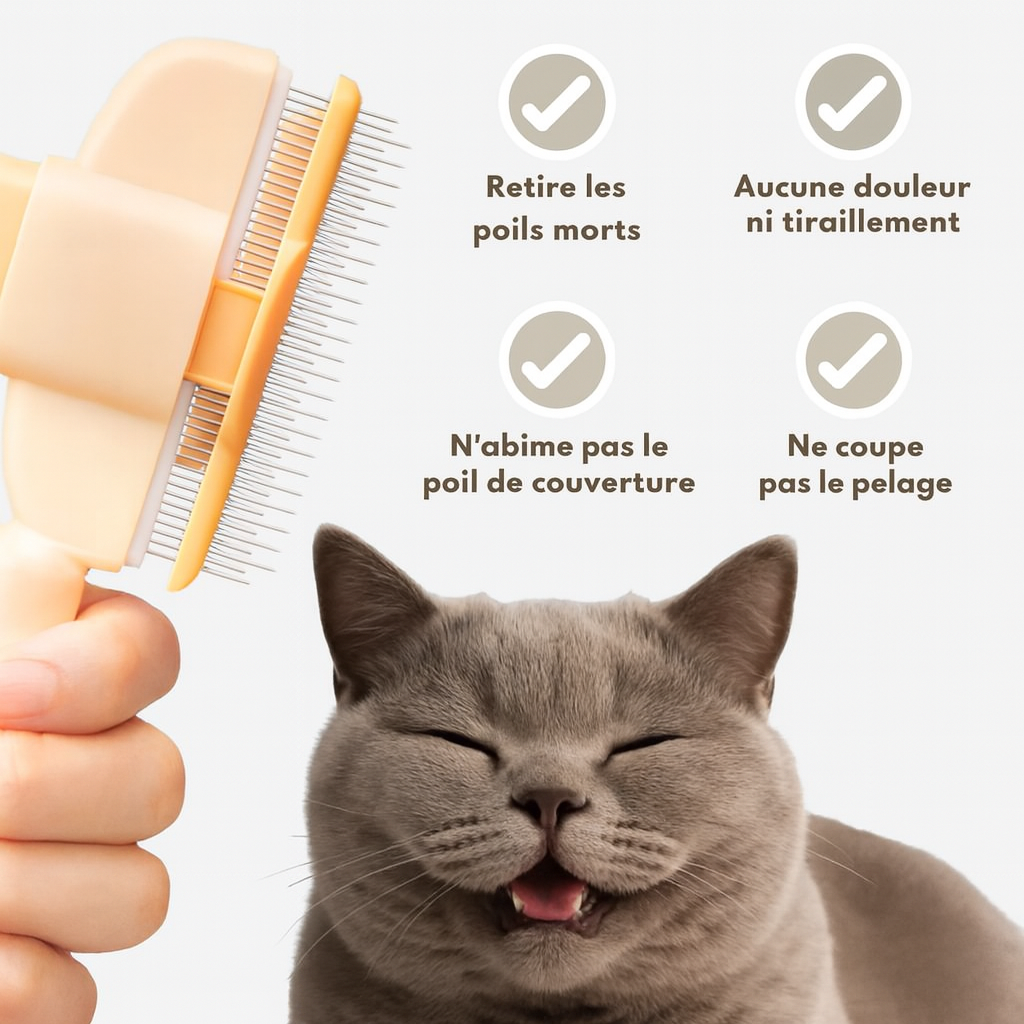 ZenBrush™ – Brosse auto-nettoyante pour chat