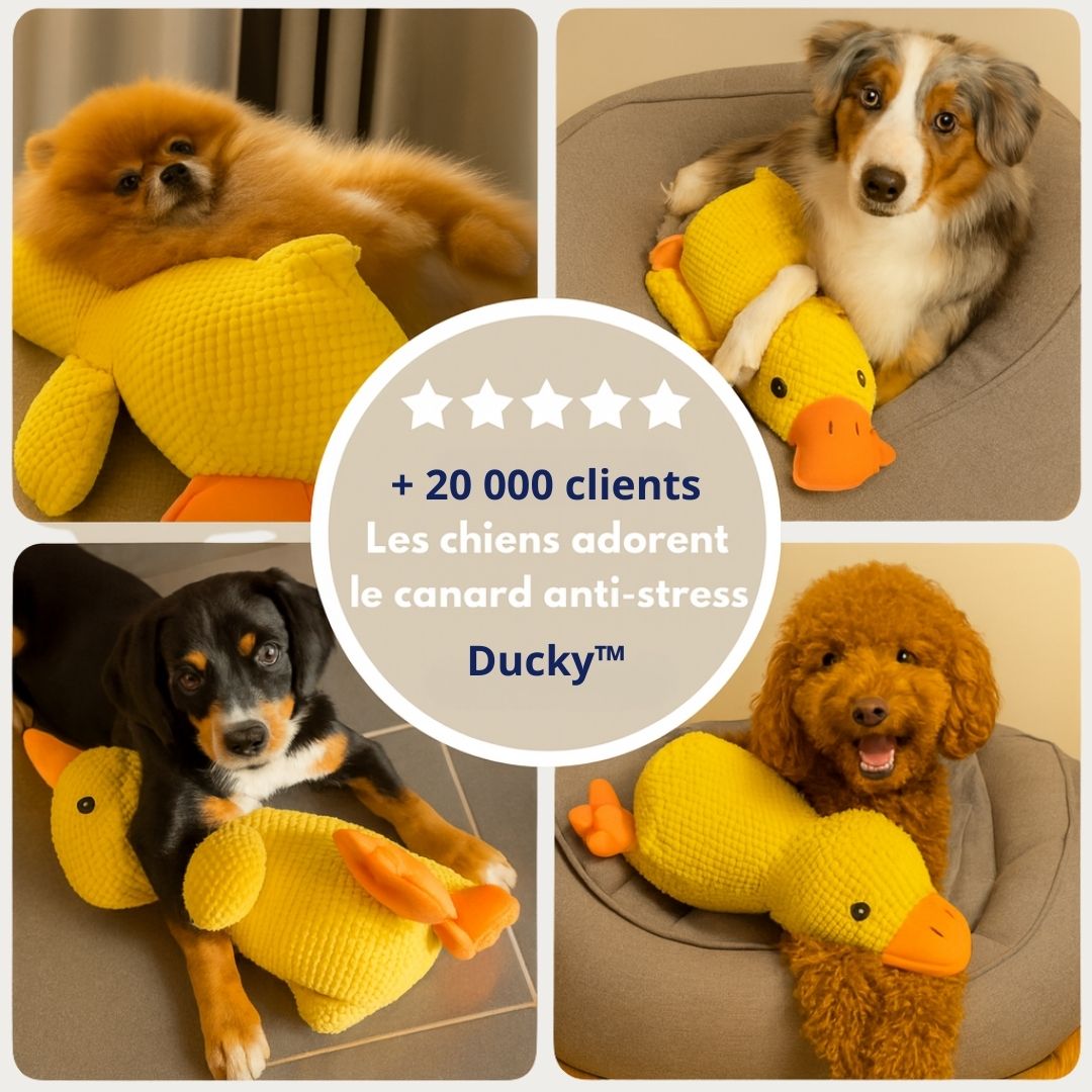 Ducky™ - Le canard anti-stress pour chien
