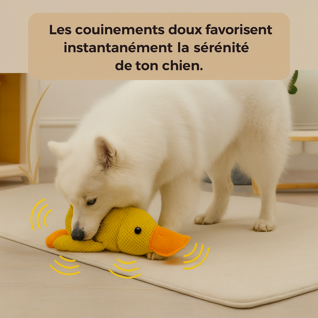 Ducky™ - Le canard anti-stress pour chien