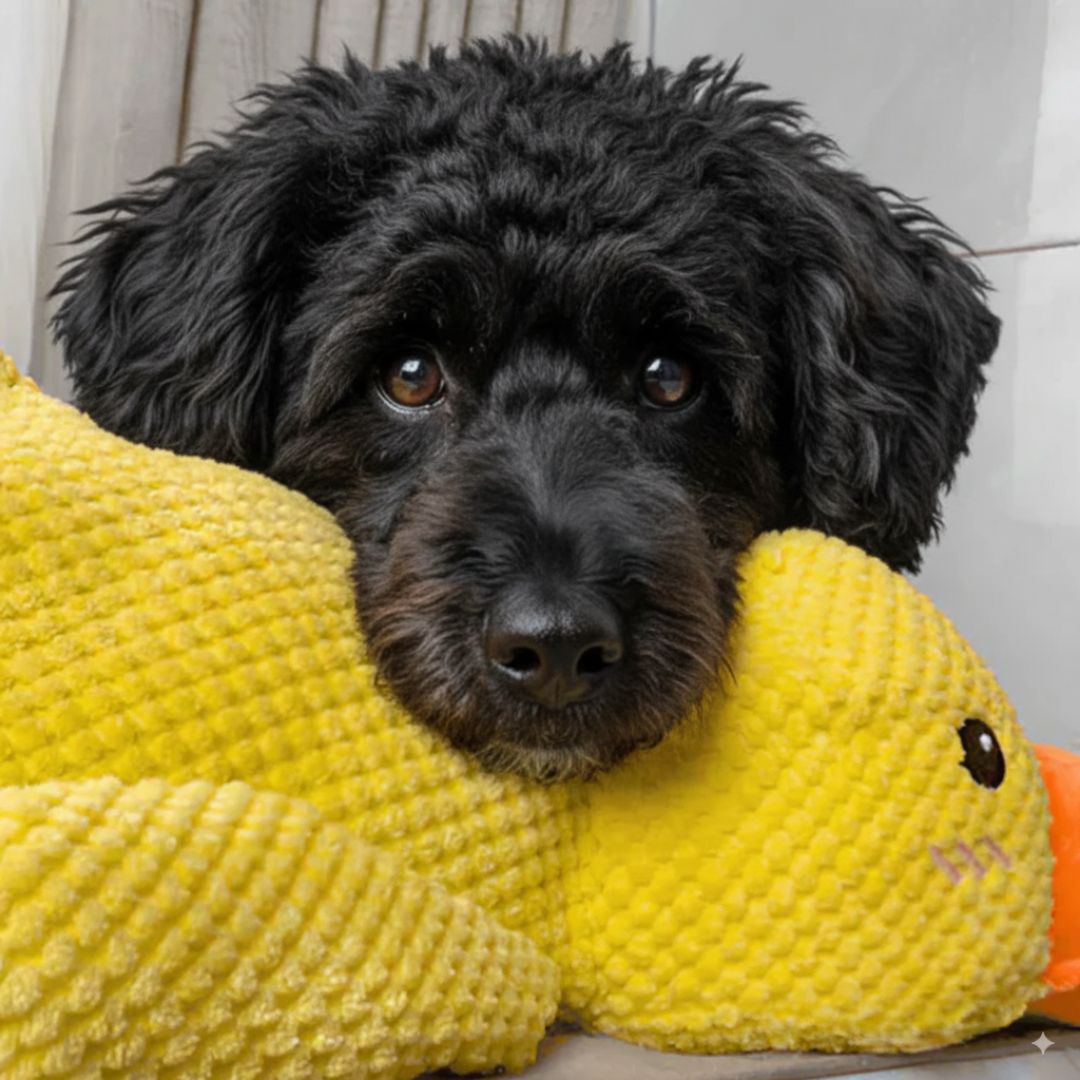 Ducky™ - Le canard anti-stress pour chien