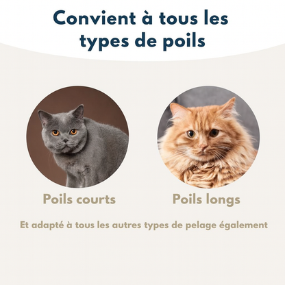 ZenBrush™ – Brosse auto-nettoyante pour chat