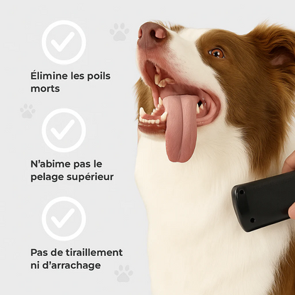 Groomy™ – Brosse anti-poils magique