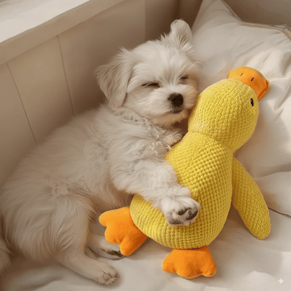 Ducky™ - Le canard anti-stress pour chien